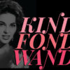 Kinda Fonda Wanda "Beehive" t-shirt