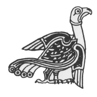 BiL "Bird" t-shirt